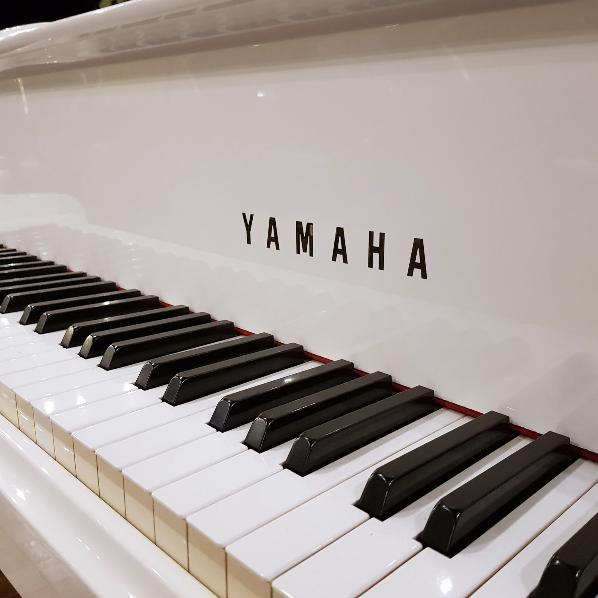 Yamaha Mx200R 